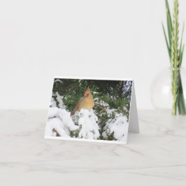 Helgdag Card med kardinal Kort