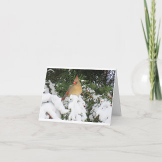 Helgdag Card med kardinal Kort