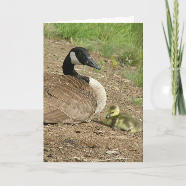 helgdag card - Mors dag Goose med Gosling Kort (Framsida)