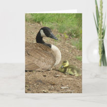 helgdag card - Mors dag Goose med Gosling