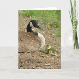 helgdag card - Mors dag Goose med Gosling Kort