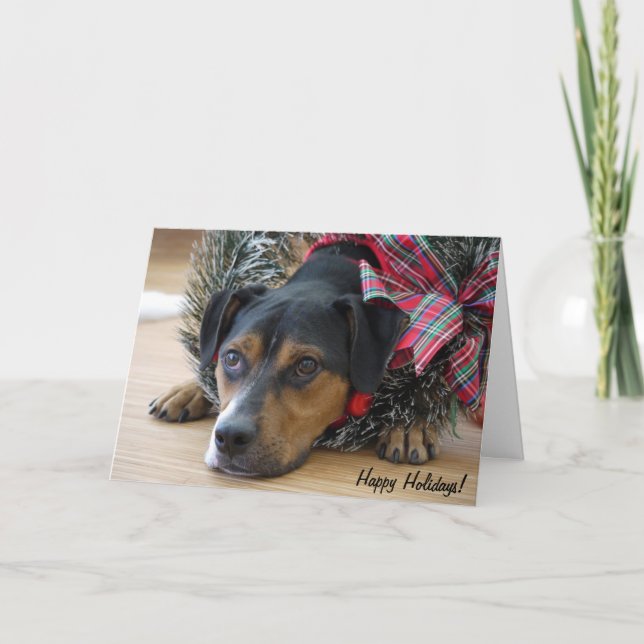 Helgdag Card "Santa's Cookies?" Helgkort (Framsida)