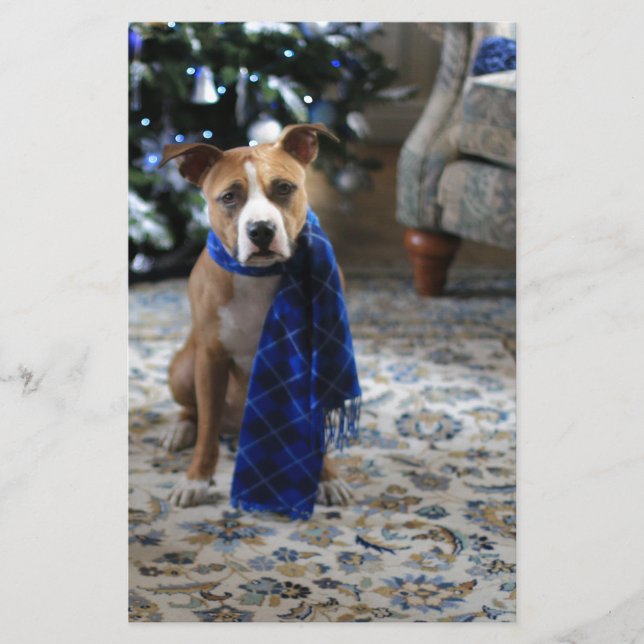 Helgdag Cheer från Pit Bull Rädding Hund Brevpapper (Framsida)