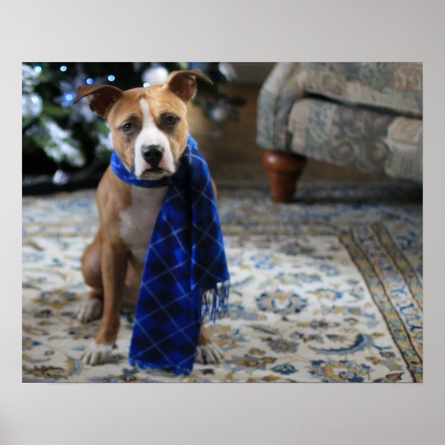 Helgdag Cheer från Pit Bull Rädding Hund Poster (Framsidan)