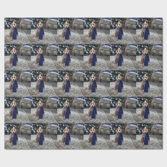 Helgdag Cheer från Pit Bull Rädding Hund Presentpapper (Seam)