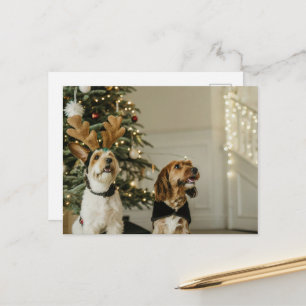 Helgdag Cheer Postcard för julafton Helg Vykort