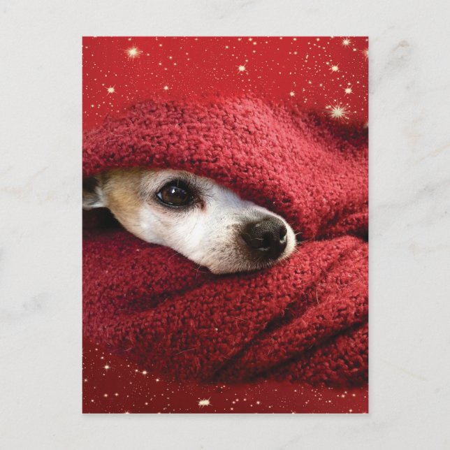 Helgdag Chihuahua Helg Vykort (Framsida)