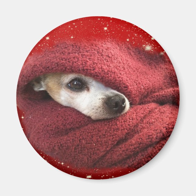 Helgdag Chihuahua Magnet (Framsidan)