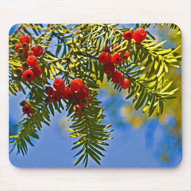 Helgdag Conifers Musmatta (Framsidan)