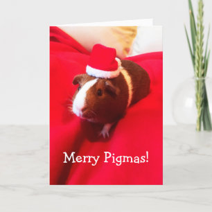 Helgdag Cute Santa Guinea Gris Helgkort