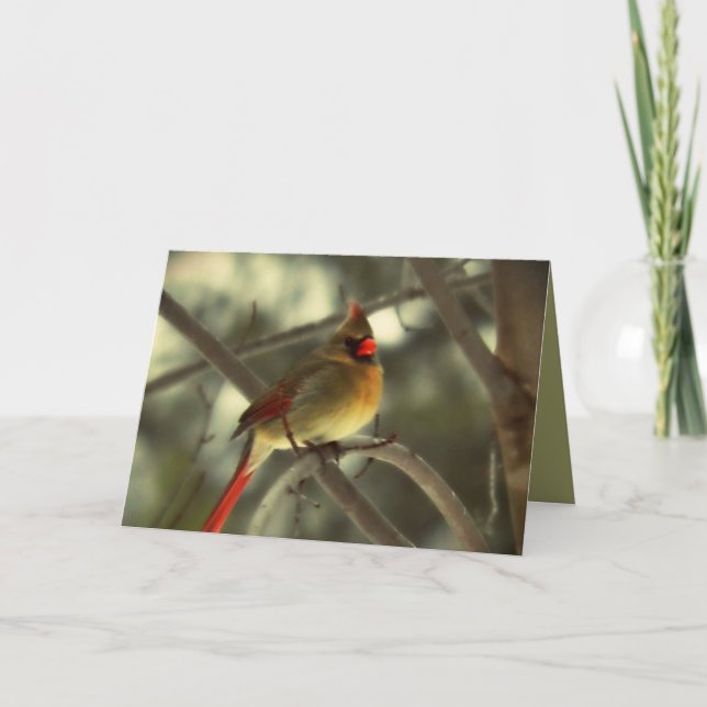 Helgdag Female kardinal Helgkort (Framsida)