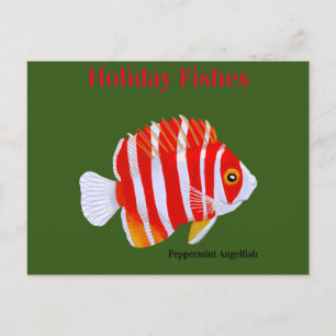 Helgdag Fishes Peppermint Angelfish Helg Vykort