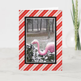 Helgdag Flamingo-hälsningskort Helgkort