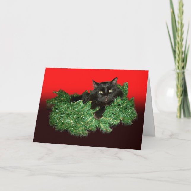 Helgdag för hårig Kat Helgkort (Framsida)
