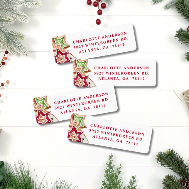 Helgdag för jultomte i roligt returadress etikett (Skapare uppladdad)