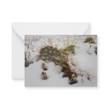 helgdag för snöcactus