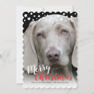 Helgdag-fotokort Doggie Kärlek Julkort
