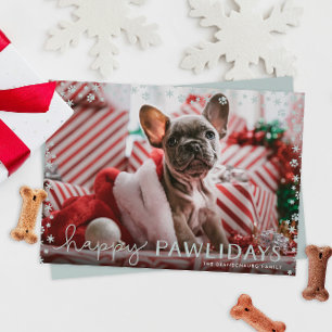 Helgdag-fotokort för grått Lycklig Pawlidays-Djurä Julkort