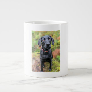 Helgdag Gift Idea under $20 Jumbo Mugg