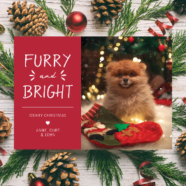 Helgdag hårig och Bright Pet Photo jul Julkort