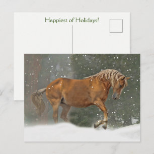 Helgdag Horse i Snö Vykort