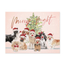 Helgdag Hundälskare God Santa Hat