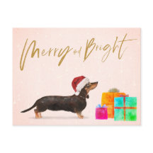 Helgdag jul Hund Dachshund Merry Bright