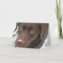 Helgdag julkort - Chocolate Labrador Hund
