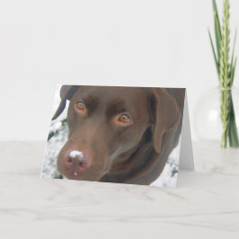 Helgdag julkort - Chocolate Labrador Hund Helgkort