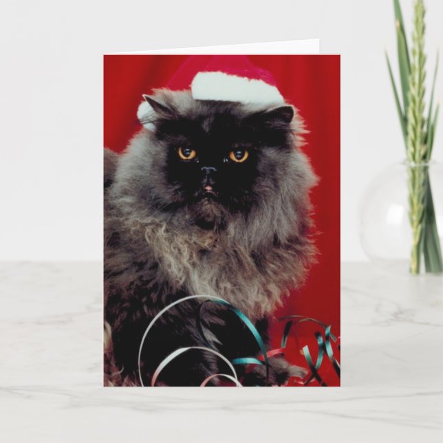 Helgdag Katt Helgkort (Framsida)