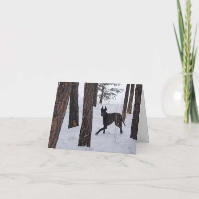 Helgdag kort (Framsida)