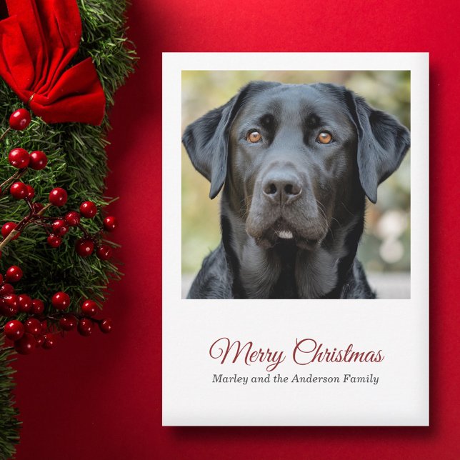 Helgdag-kort för enkel Hund Photo God jul Julkort (Simple Dog Photo Merry Christmas Holiday Card)