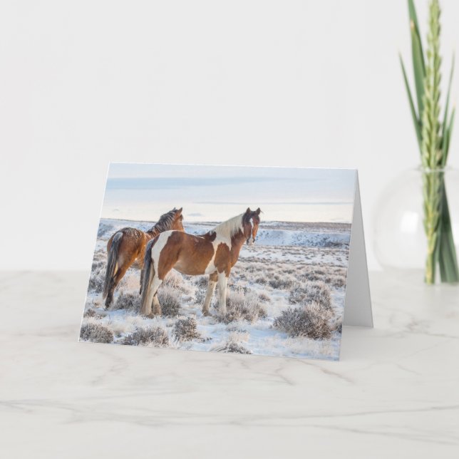 helgdag-kort för frusen gryning kort (Framsida)
