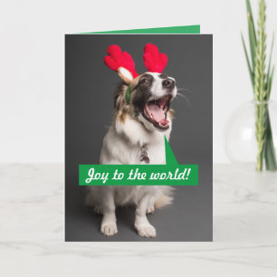 Helgdag-kort för singel-Australian shepherd Helgkort