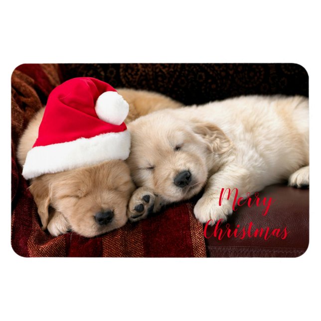 Helgdag Magnet (Horisontell)