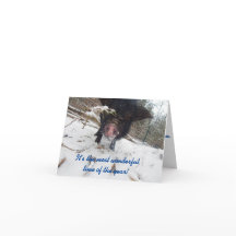 Helgdag Önskemål, Gris-julkort