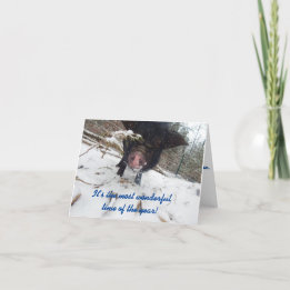 Helgdag Önskemål, Gris-julkort Helgkort