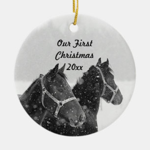 Helgdag Ornament vårt första julhortema