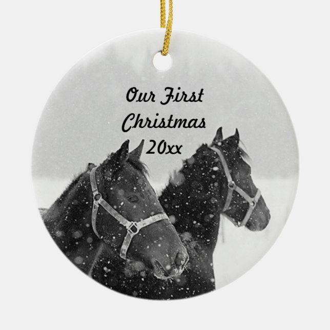 Helgdag Ornament vårt första julhortema (Framsidan)