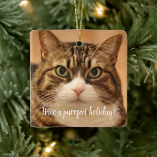Helgdag personlig Cat Pet Memorial Julgransprydnad Keramik