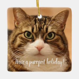 Helgdag personlig Cat Pet Memorial Julgransprydnad Keramik