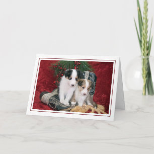 Helgdag Shetland Sheepdog Puppies Helgkort
