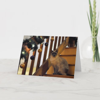 Helgdag Siamese 2 Helgkort