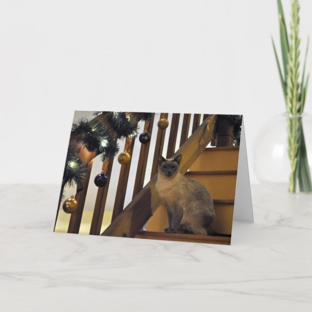 Helgdag Siamese 2 Helgkort (Framsida)