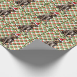 Helgdag Wirehted Pointer Hund Play-jul Presentpapper