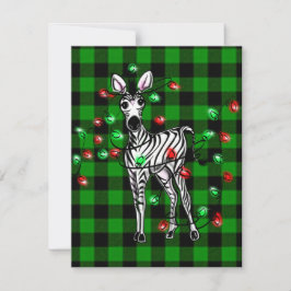 Helgdag Zebra, grönt tartan, ljus med tinkle Anteckningskort