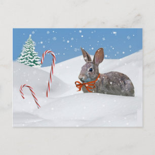Helgdagar, Bunny Rabbit i Snö Helg Vykort