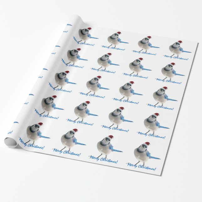 Helgdagblått Jay Presentpapper (Utrullad)