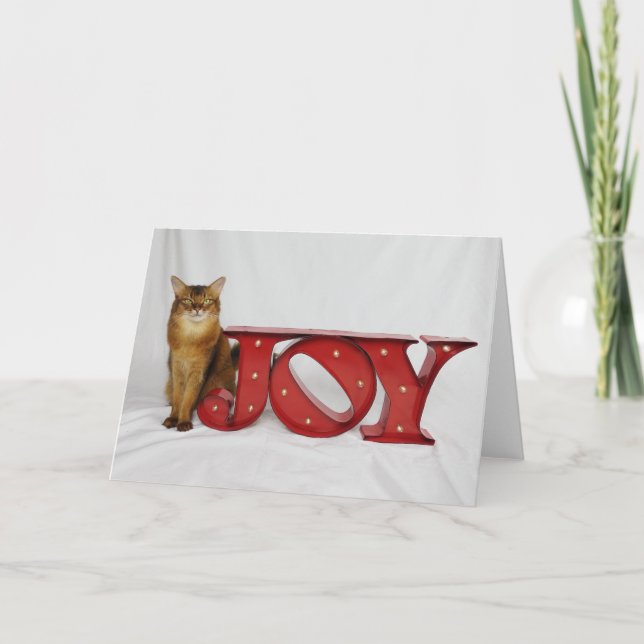 Helgdagglädje som presenterar sommarsambaen helgkort (Framsida)