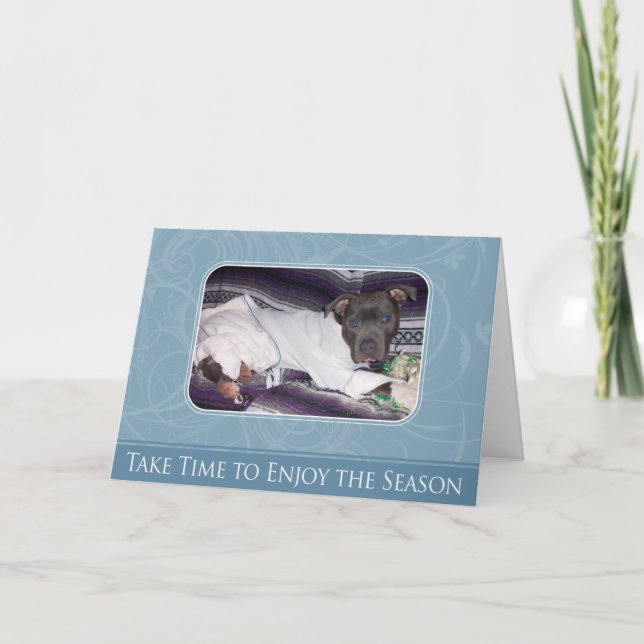 HelgdagPitbull kort (Framsida)